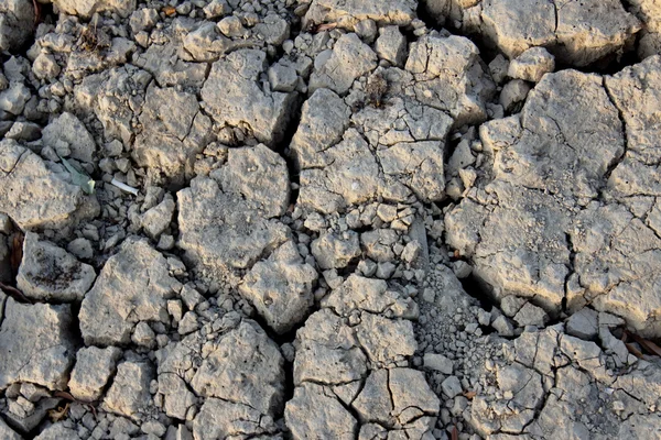 乾燥した川 - イスファハン — ストック写真
