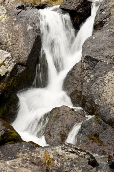 Potoka górskiego — Zdjęcie stockowe