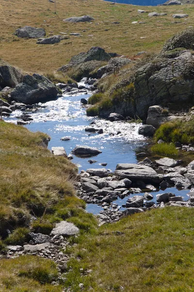 Solljus och mountain brook — Stockfoto