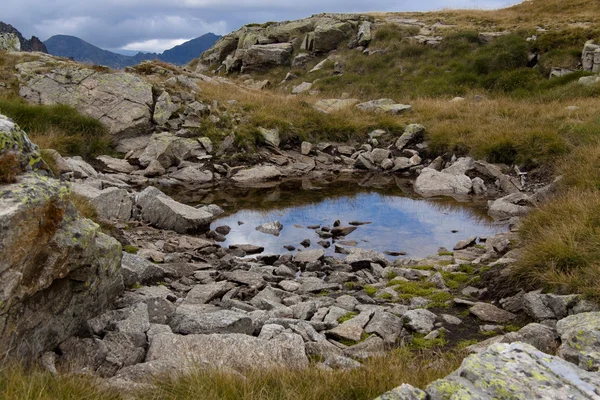 Wasser auf der Wiese - Pyrenäen — Stockfoto