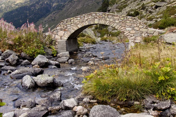 Puente de piedra sobre el río - Pirineos — Stok fotoğraf
