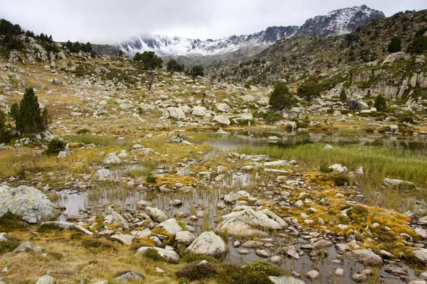 Swamp in Pyrenees — Stock Photo, Image
