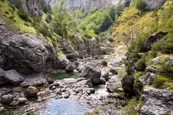 Bellos řeka v kaňonu anisclo — Stock fotografie