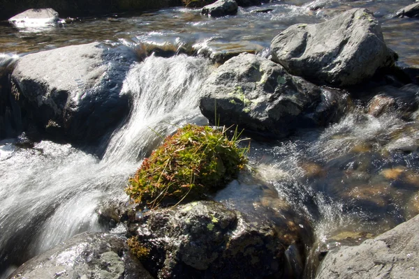 Mountain brook in Aiguestortes — Stockfoto