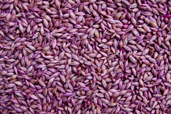 Background of dry seeds — Stock Photo, Image