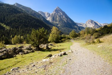 Path to Sant Maurici lake. clipart