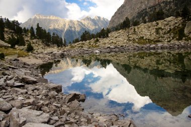 Beauty reflection - Aiguestortes National Park clipart