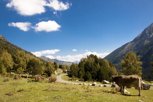 Parque Nacional Sant Maurici - Pirineos — Foto de Stock