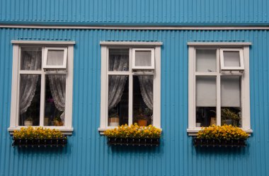 Nordic typical windows - Iceland, Reykjavik clipart