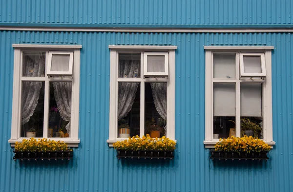 Σκανδιναβικές τυπικά παράθυρα - Ισλανδία, Ρέυκιαβικ — Φωτογραφία Αρχείου