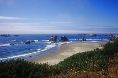 Bandon, Oregon beach clipart