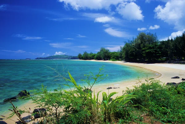 Playa de Anini, Kauai — Foto de Stock