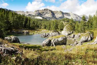 Julian alps göster