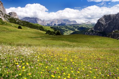 Passo gardena diğer ad grodner joch - sella