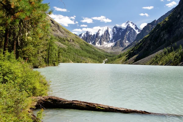 Altai lake — Stock Photo, Image