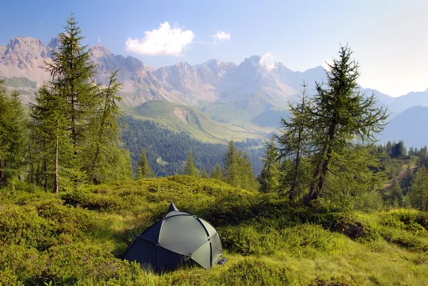 Tourist tent in the green forest on moun — Stockfoto