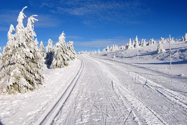 Trilha de esqui na montanha Jesenik — Fotografia de Stock
