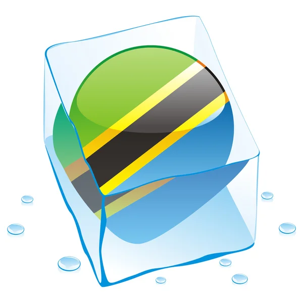 Tanzania przycisk flaga zamrożonego w kostce lodu — Wektor stockowy