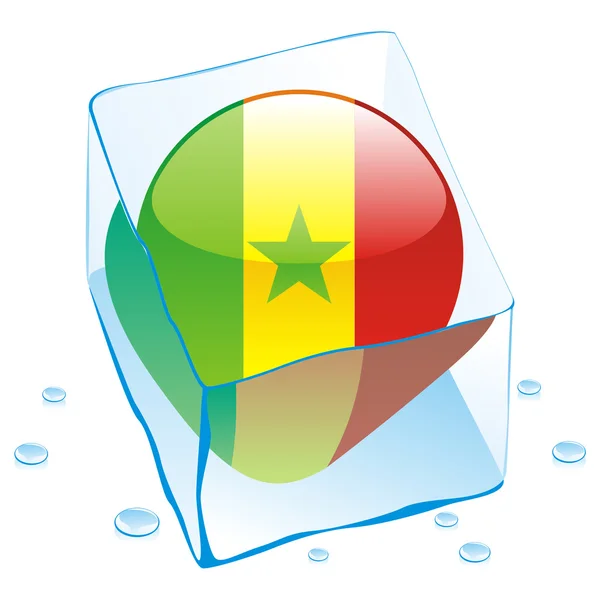 Senegal button flag frozen in ice cube — Stock Vector