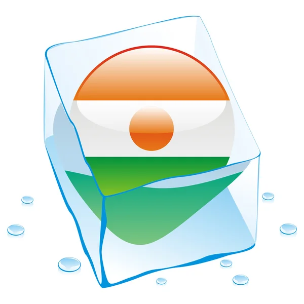 Niger button flag frozen in ice cube — Stock Vector