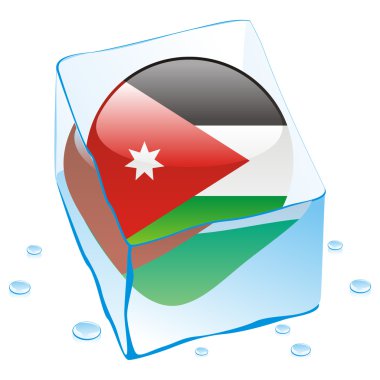 Jordan button flag frozen in ice cube