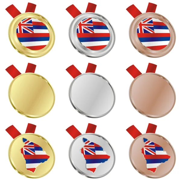 Hawaii vector flag in medal shapes — Stock Vector