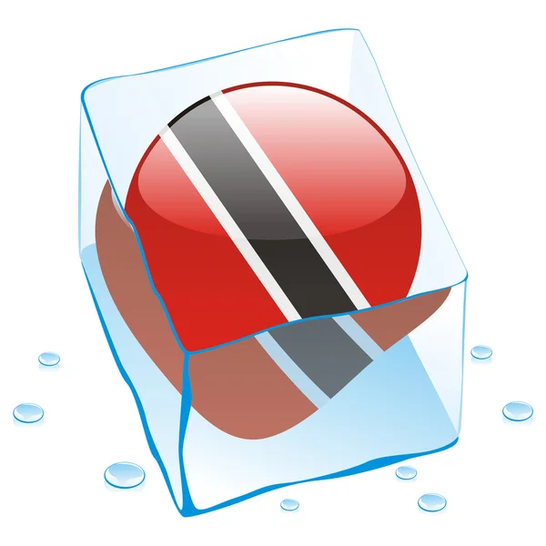 Trinidad y Tobago botón bandera congelada — Vector de stock