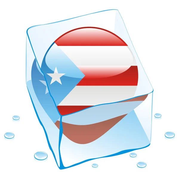 Porto Riko düğme bayrak dondurulmuş — Stok Vektör