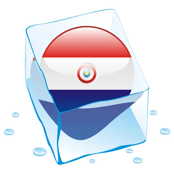 Ice cube dondurulmuş paraguay düğme bayrağı — Stok Vektör