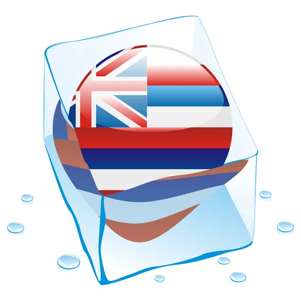 Drapeau bouton Hawaï congelé dans un glaçon — Image vectorielle