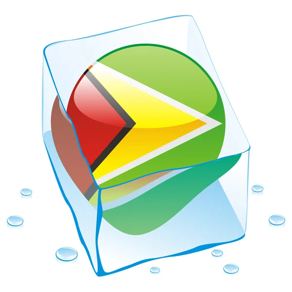 Guyana button flag frozen in ice cube — Stock Vector
