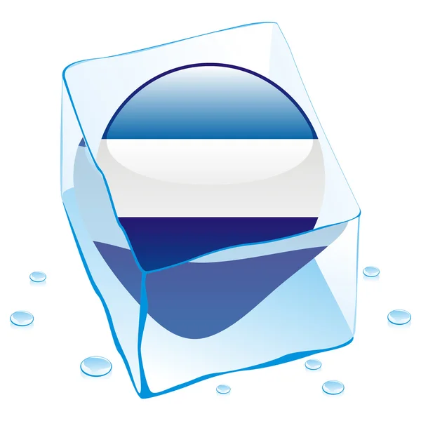 Drapeau bouton Salvador congelé dans un glaçon — Image vectorielle