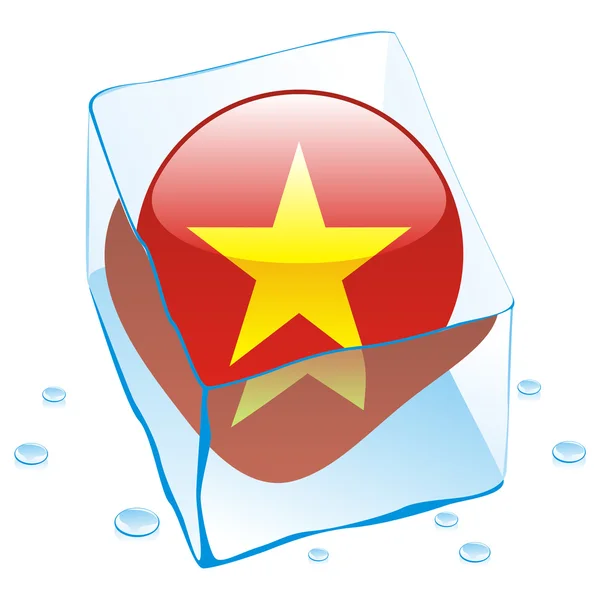 Vietnam button flag frozen in ice cube — Stock Vector