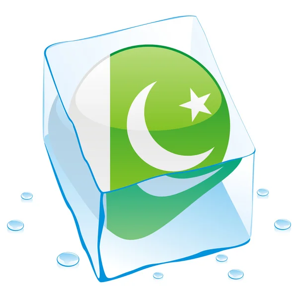 Pakistan knappen flagga fryst i isbit — Stock vektor