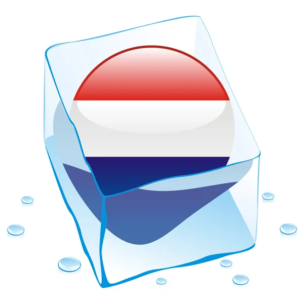 Bandera de botón de Holanda congelada en hielo cu — Vector de stock