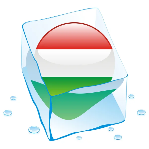 Hungary button flag frozen in ice cube — Stock Vector
