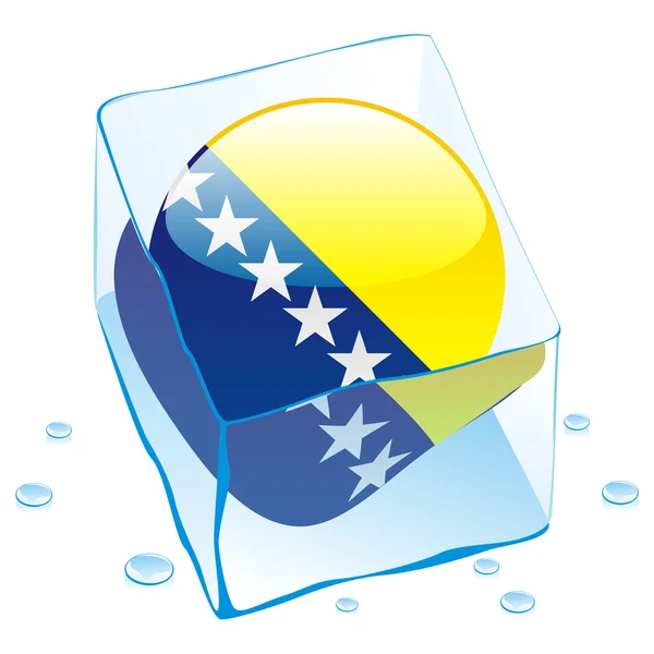 Bandera de Bosnia y Herzegovina en cubo de hielo — Archivo Imágenes Vectoriales