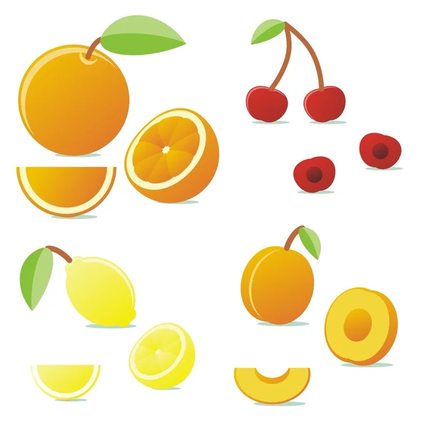 Isolated vector fruits — Stock Vector