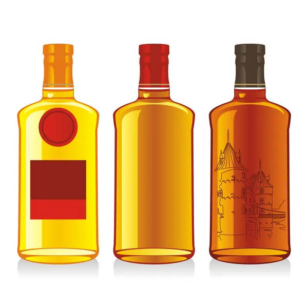 Isolated whiskey bottles — Stock Vector