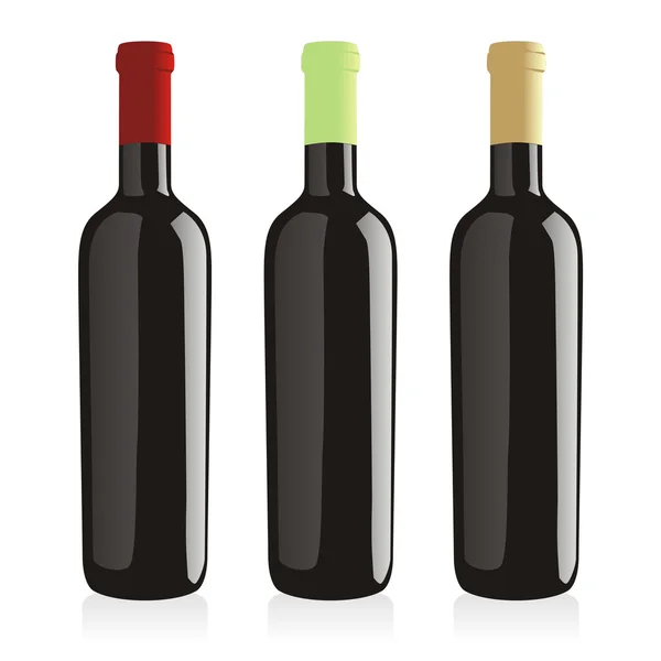 Isolated classic shape wine bottles — Stock Vector