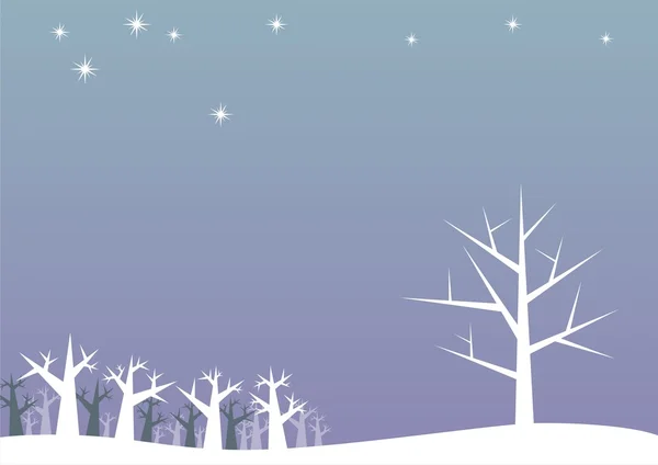 Bäume in einer Winternacht — Stockvektor