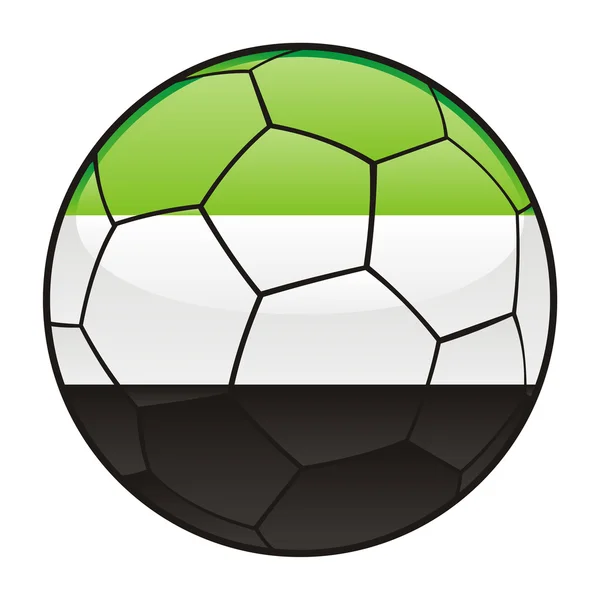 Bandeira do Afeganistão em bola de futebol — Vetor de Stock