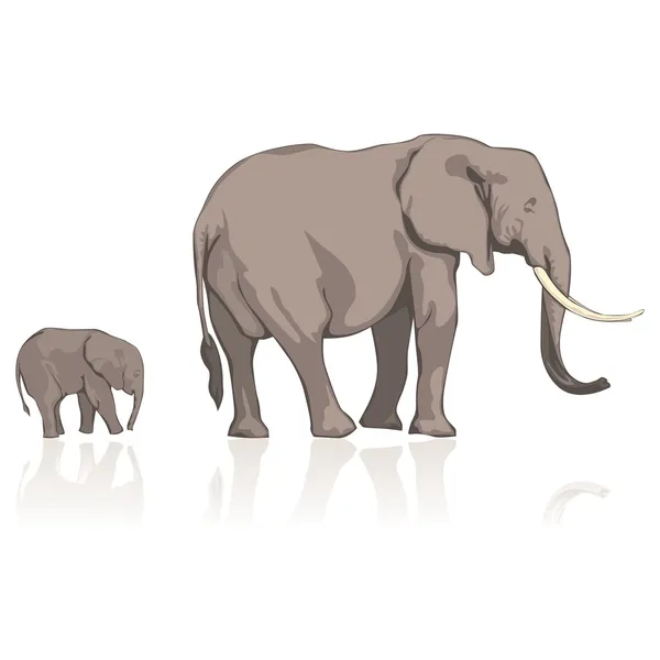 Wilde Elefanten — Stockvektor