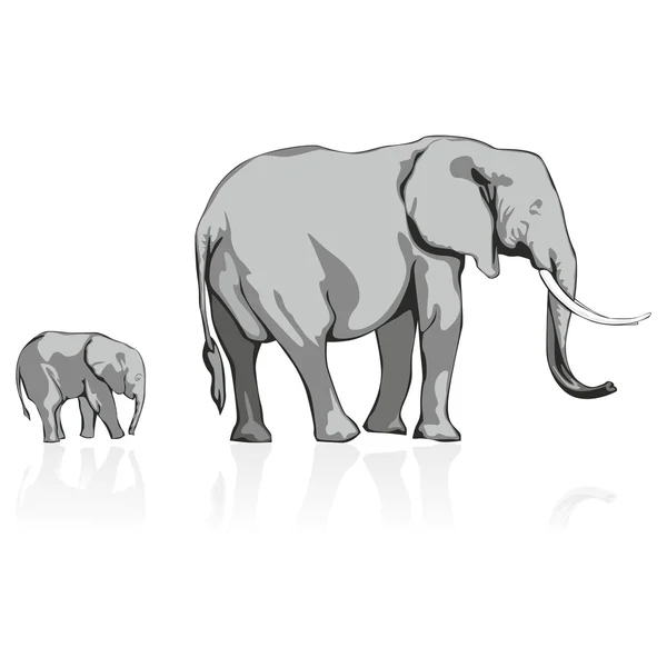 Vilda elefanter — Stock vektor