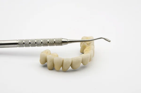 Prótesis dental Fotos de stock libres de derechos