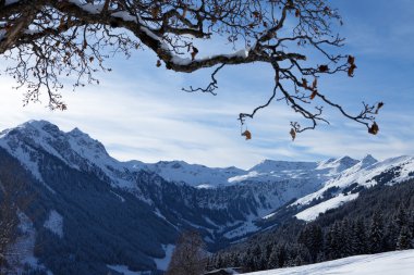 Avusturya Alplerinde. Saalbach