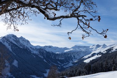 Austrian Alps. Saalbach clipart