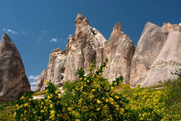 Kapadokya. muhteşem manzara — Stok fotoğraf