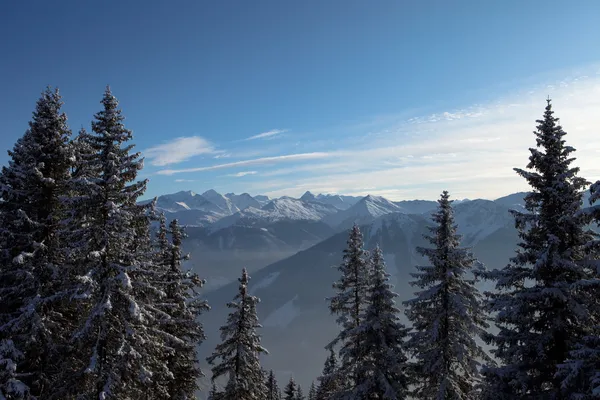 Berge, Alpen, Österreich, Landschaft, Weihnachtsurlaub, fantastischer Himmel und Bäume lizenzfreie Stockbilder