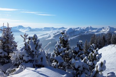 Avusturya Alplerinde. Saalbach